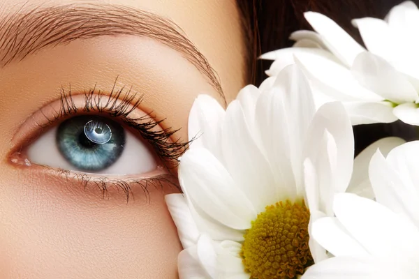 Giữ đôi mắt khỏe mạnh bằng những thói quen nhỏ mỗi ngày